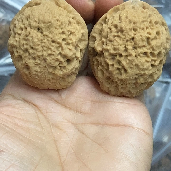 文玩核桃把件云南铁核桃基地73
