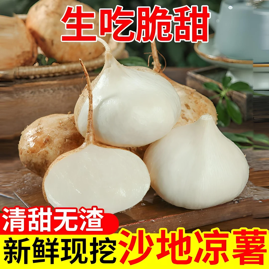 湖南耒阳当季新鲜现挖凉薯土地瓜豆薯农家自种红薯白薯地瓜地萝卜