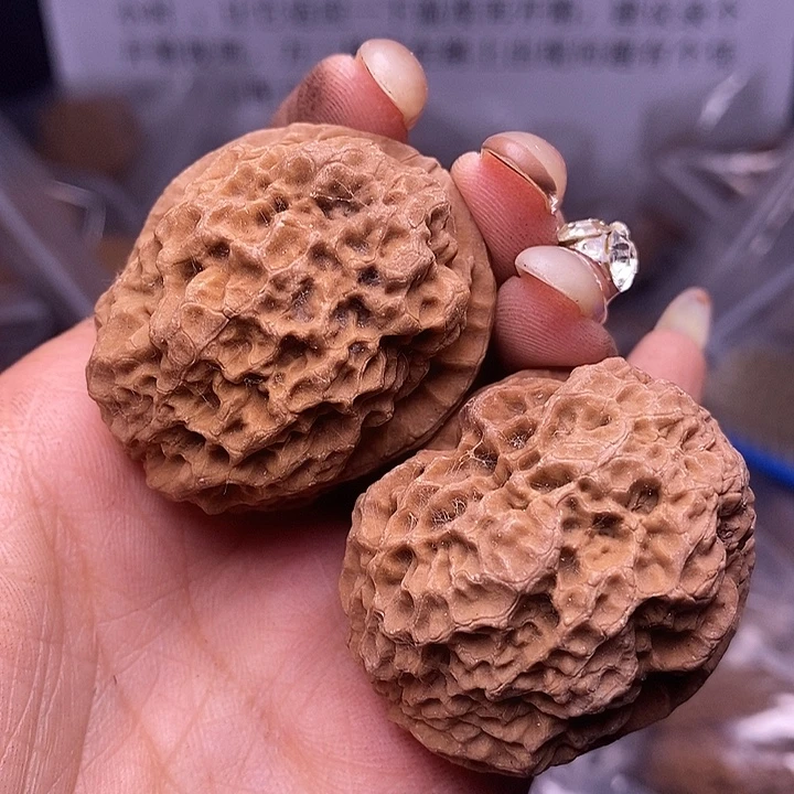 核桃云南野生铁核桃173号40mm