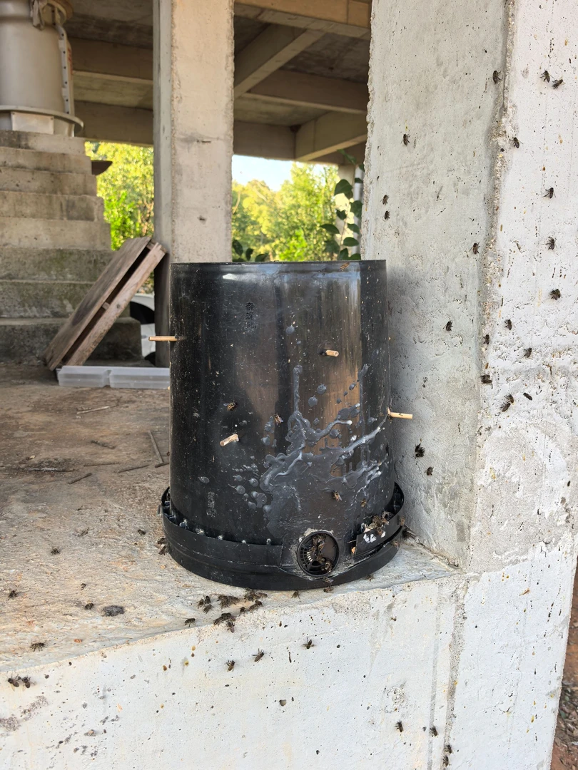 蜜蜂云养殖随时随地养殖蜜蜂中华蜂