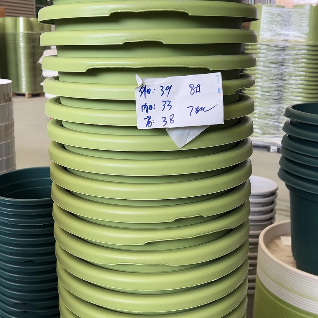 瑕疵四季盆8#果绿5个无托