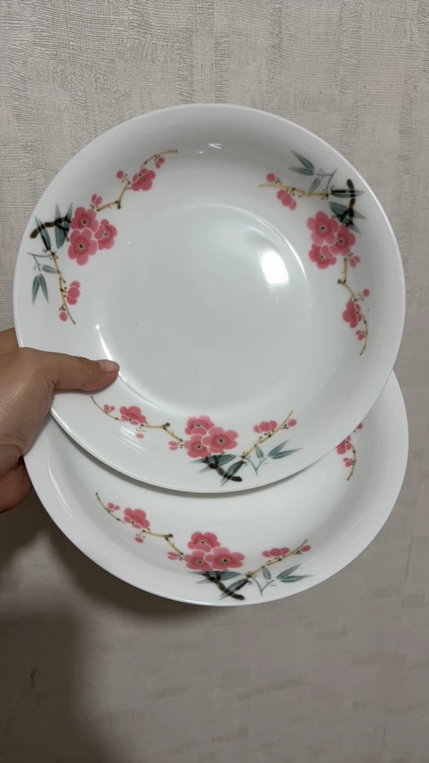 景德镇高温瓷餐具翠竹红梅8寸窝盘2只