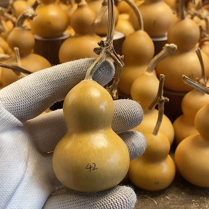 文玩葫芦 完美主义者 慎拍42