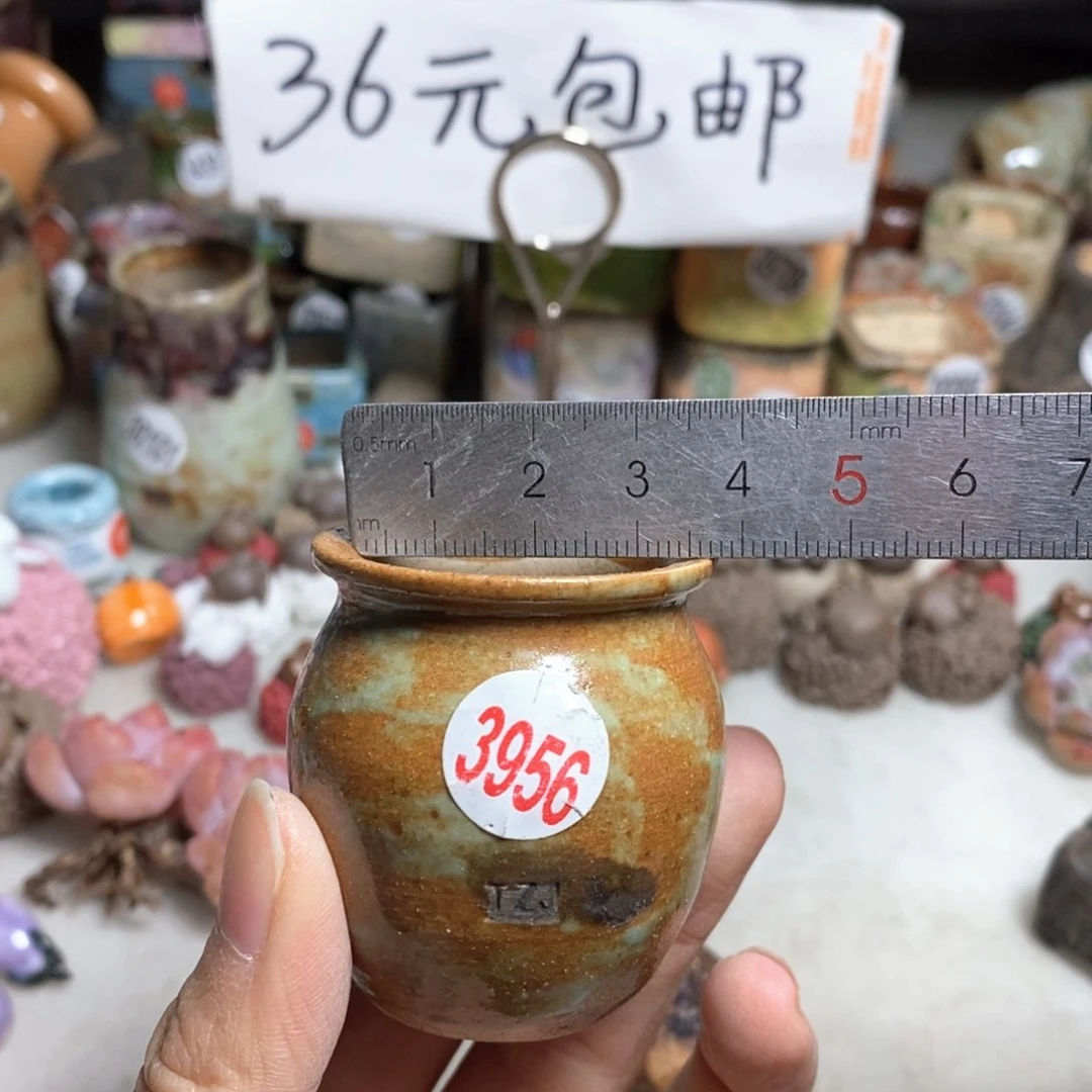 拍5送一个小礼物