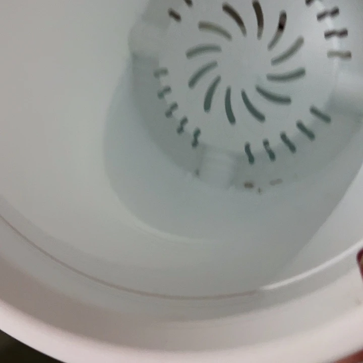 四季7号纯白无托6个特价微瑕