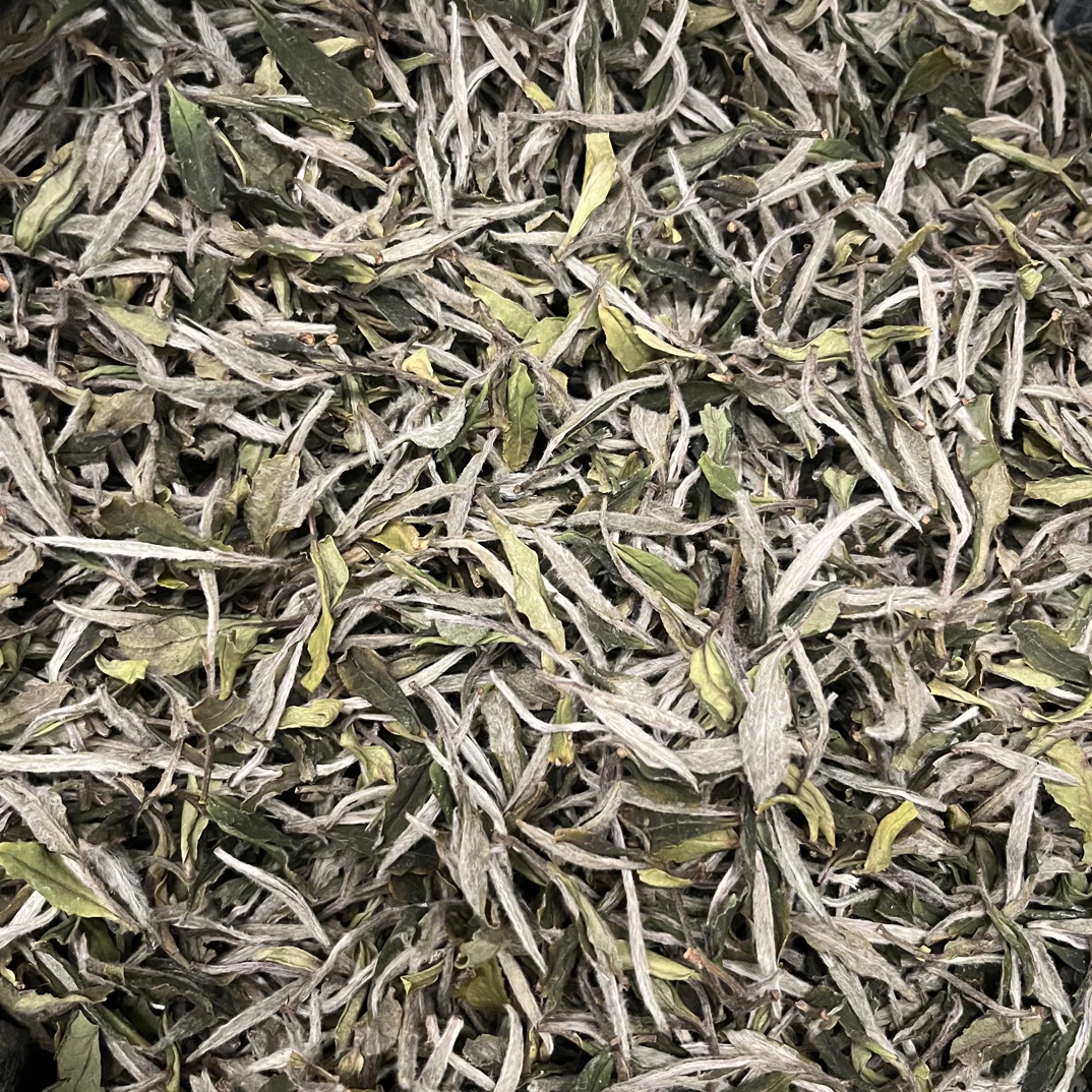 2025年特级白牡丹王正宗福鼎白茶