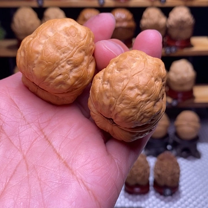 木质类云铁噬金蛤蟆头82号