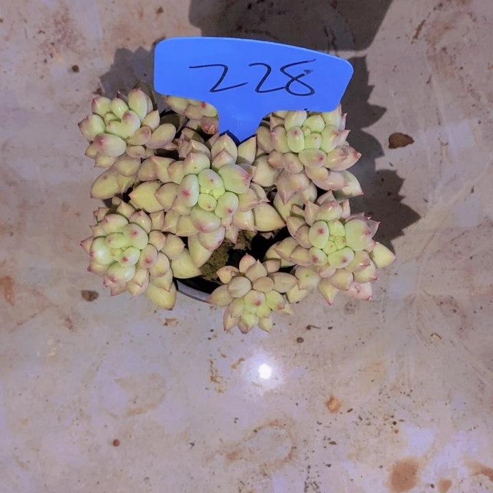 风**人你就这样让她给