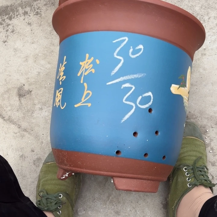 紫砂花盆紫砂的花