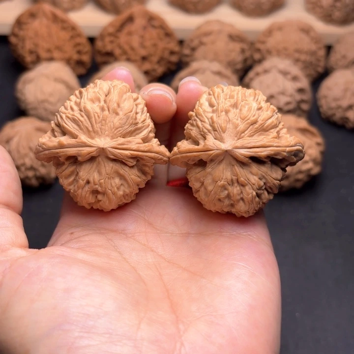 把件文玩核桃43白狮子克重48.6