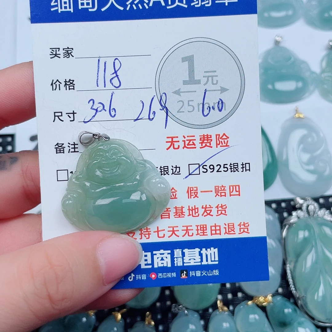 翡翠银S925镶嵌颈饰