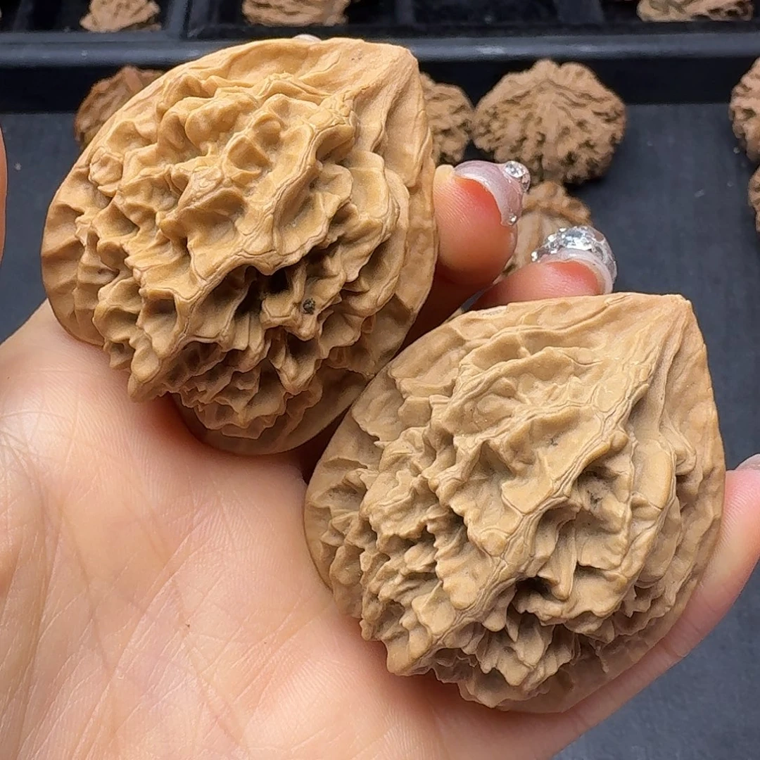 桃木突突突突突突突突