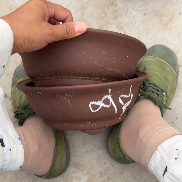 紫砂花盆紫砂的花