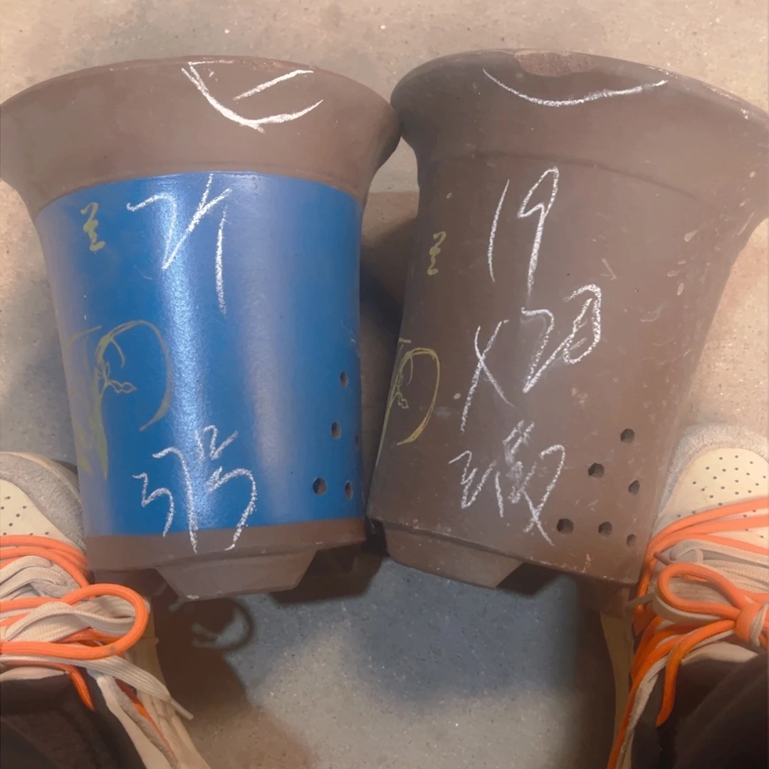 紫砂37……………………………………