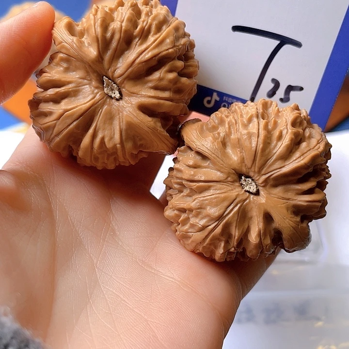 文玩核桃把件用****5文玩核桃25