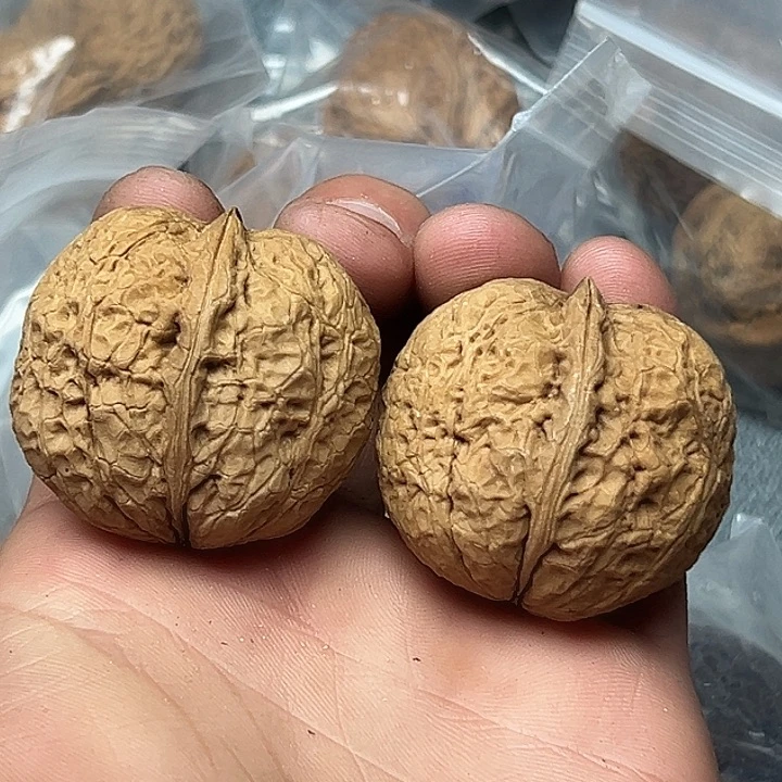 核桃40号蛇皮纹元宝42尺