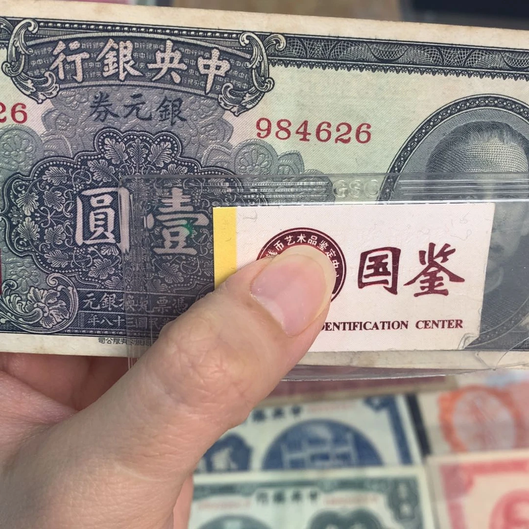 纸984626………………………………