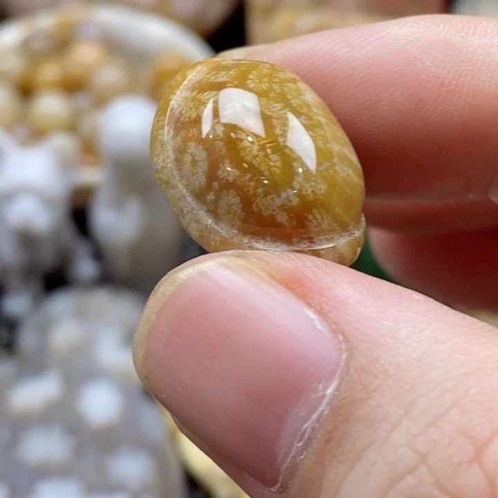 硅化珊瑚（珊瑚玉）颈饰未镶嵌若**见