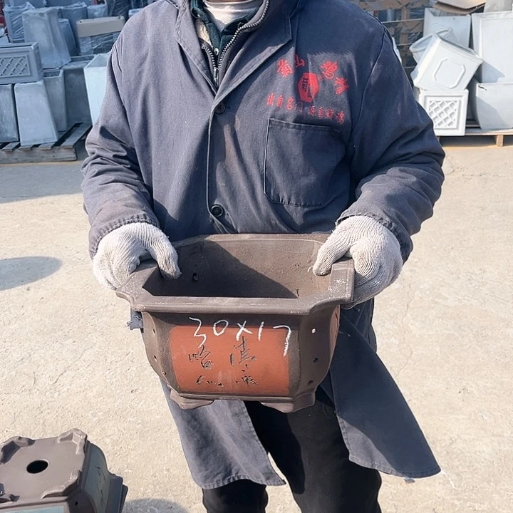 紫砂紫砂花盆和花盆里藏