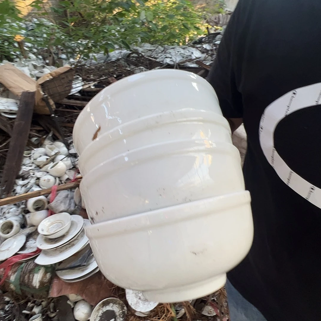 瓷片景德镇陶瓷6寸玉泥护边面碗4只