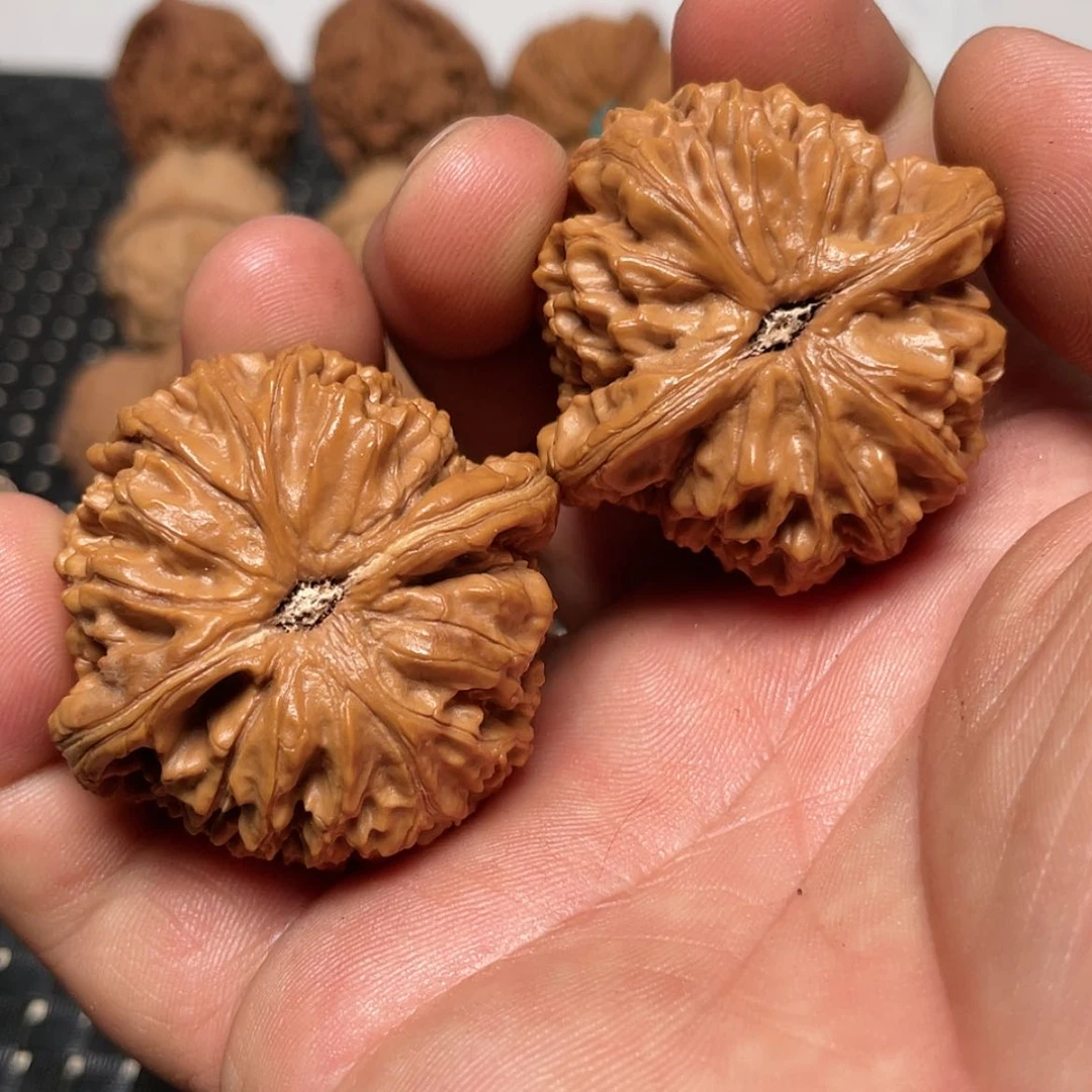 【闪购商品】文玩核桃把件永*42水龙纹狮子头