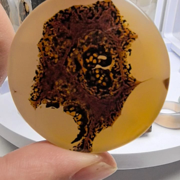 非金属时尚饰品24