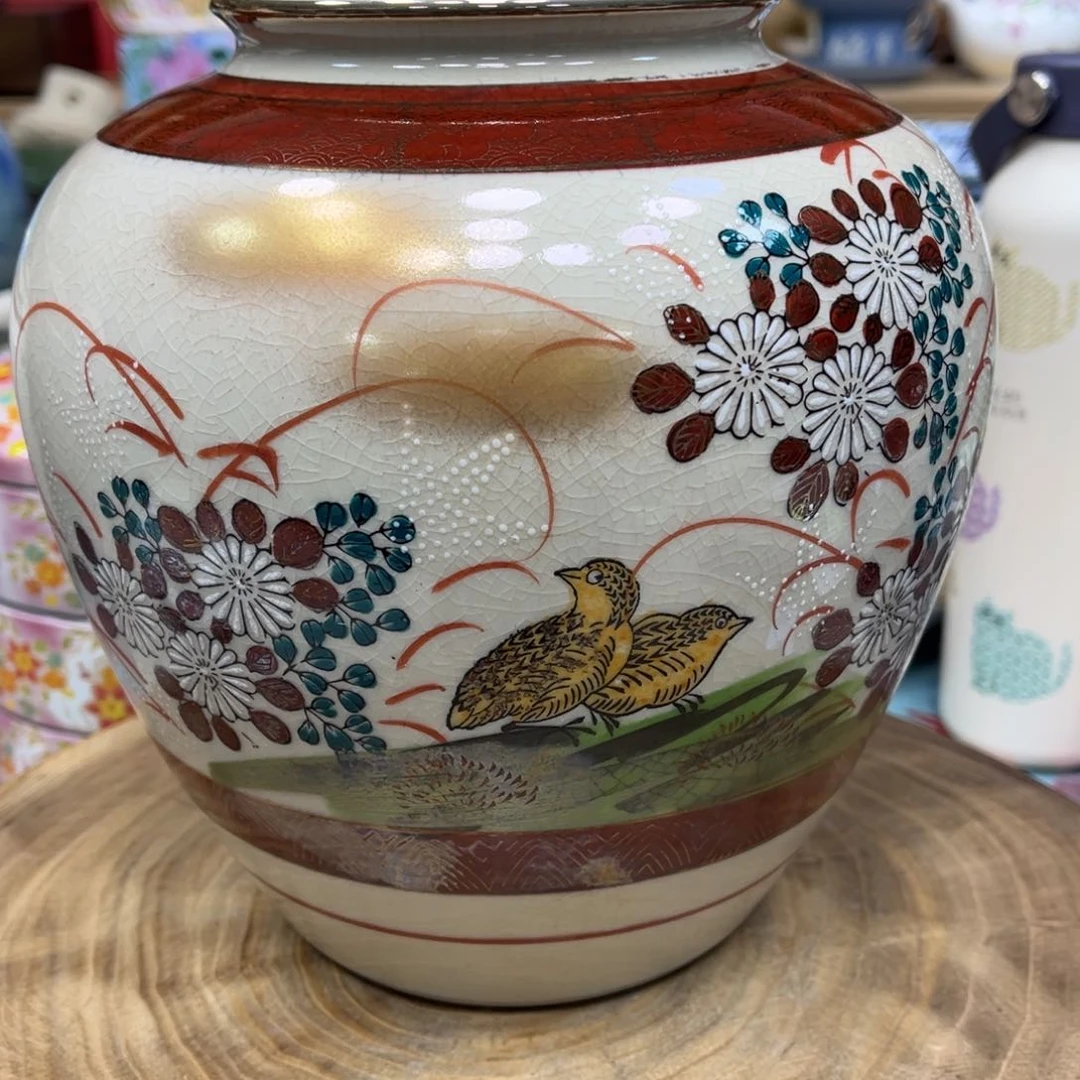 我的姐姐们好可爱