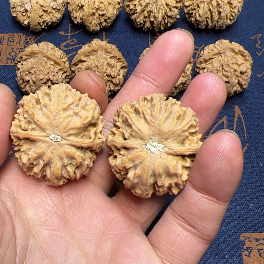 文玩核桃把件秦岭野生植物核桃