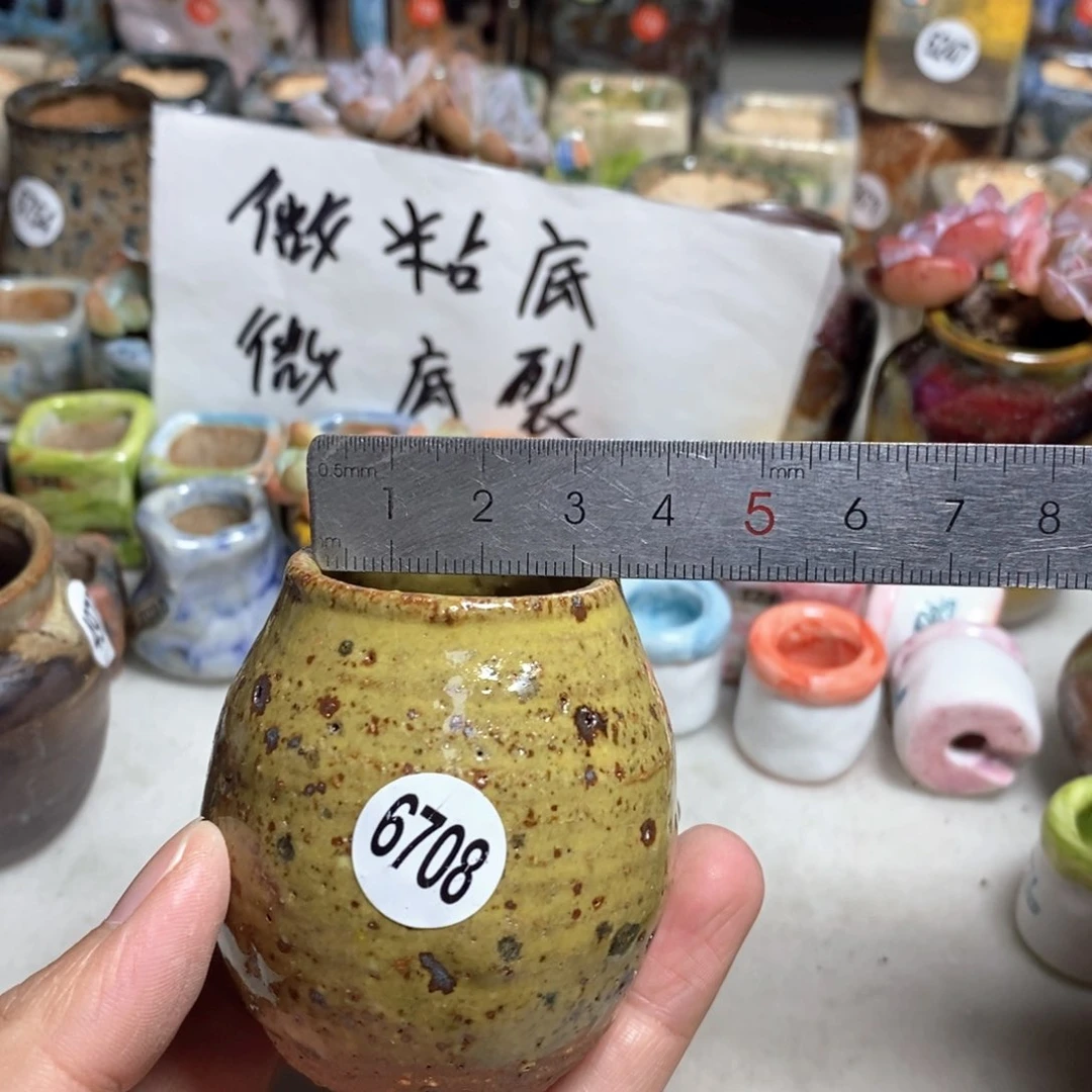 拍5送一个小礼物