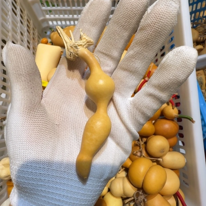解***药哈哈哈哈哈哈哈哈哈哈哈