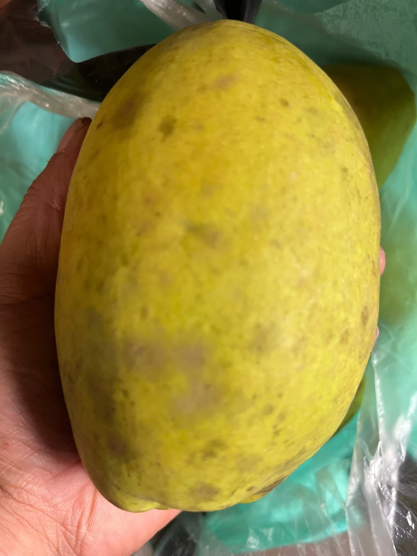 云南腾冲老品种甜木瓜