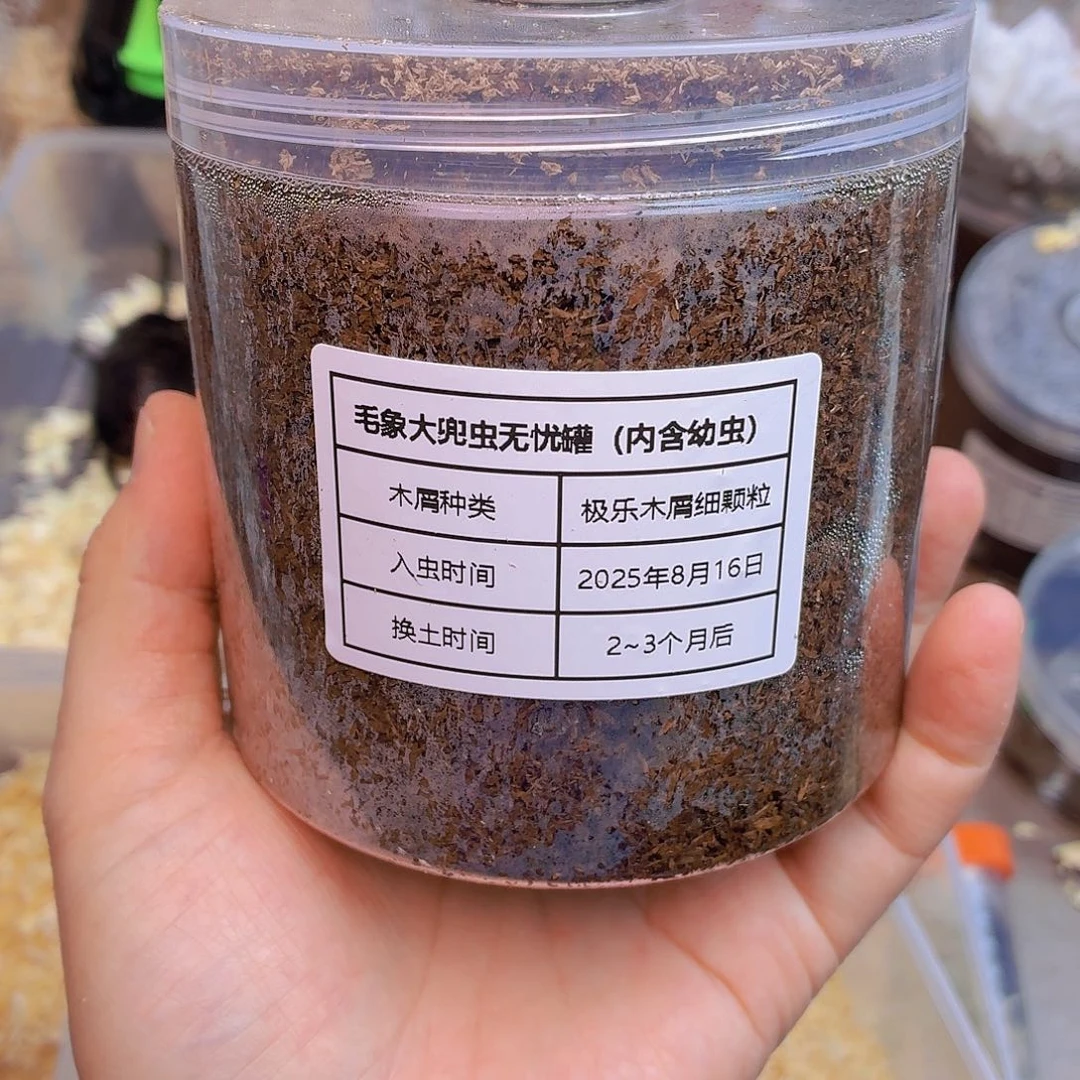 毛象大兜690ml幼虫无忧罐