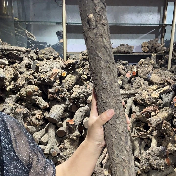 姓***艺香榧木火琉璃的故事是