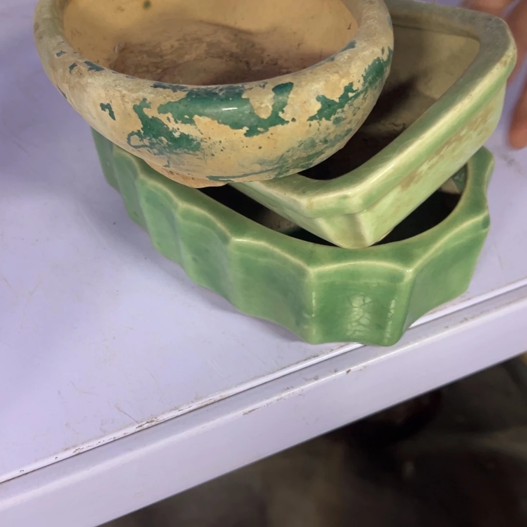 瓷片自**强拾六家的瓷器瓷器