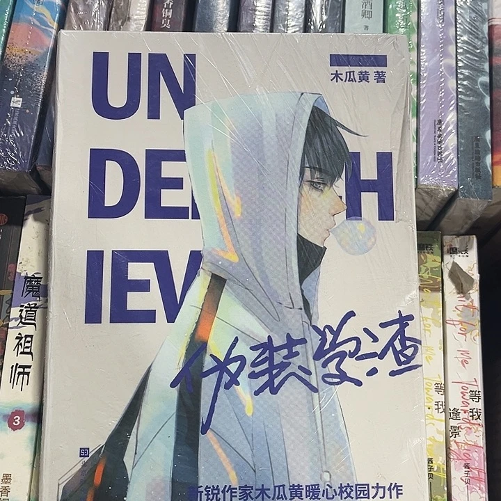 伪装学渣全新全套两本带周边未删减