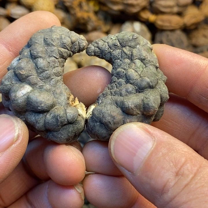 桃核吊坠娜姐我真的13