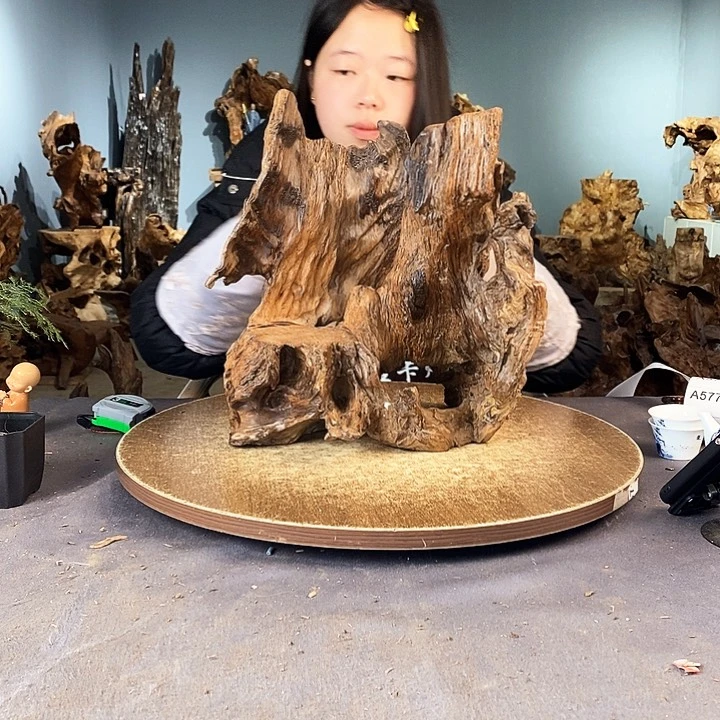 茶盏奔*569株木的随行的根艺