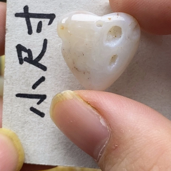 硅化珊瑚（珊瑚玉）未镶嵌颈饰