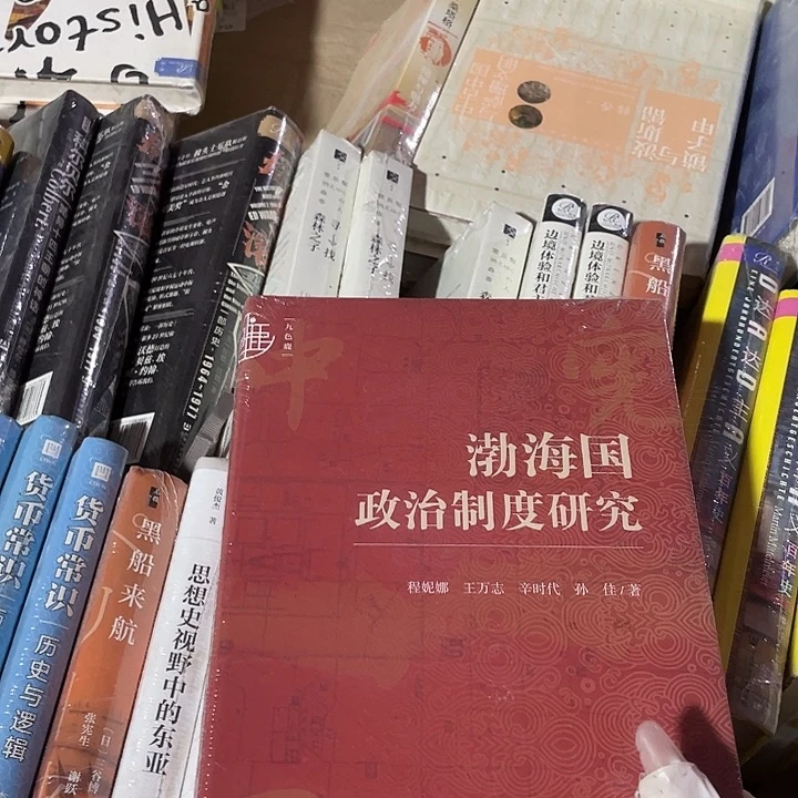 渤海国微瑕微瑕4.