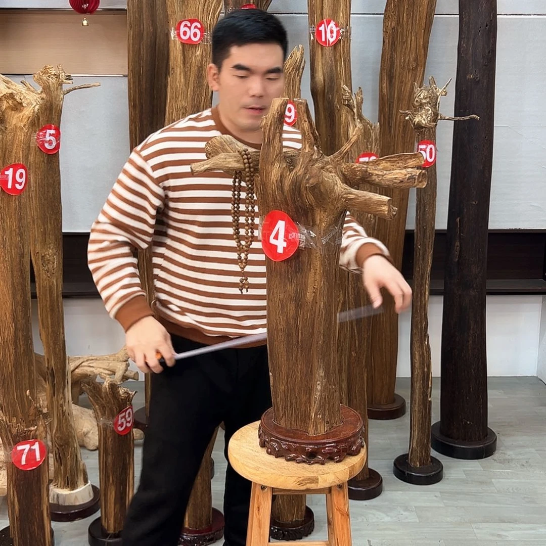 沉香摆件自**吧海南沉香摆件