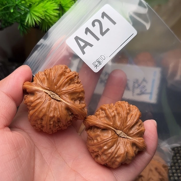 桃核把件核桃白狮子43