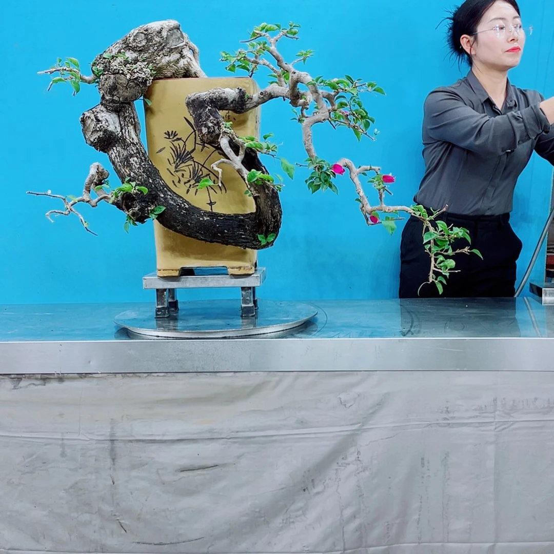 无铅玻璃陽岭南岭南文化艺术中心的