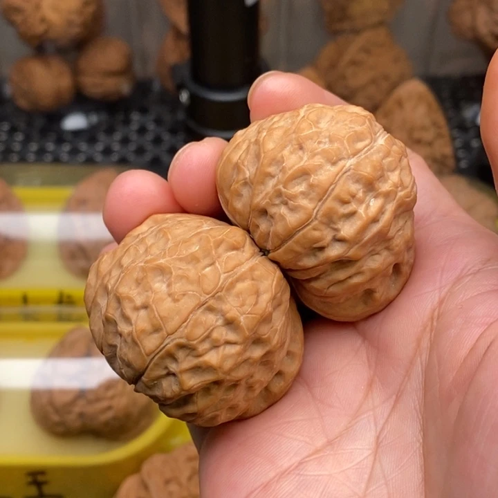 飘***雨手串/手链核桃全品南瓜蛇头