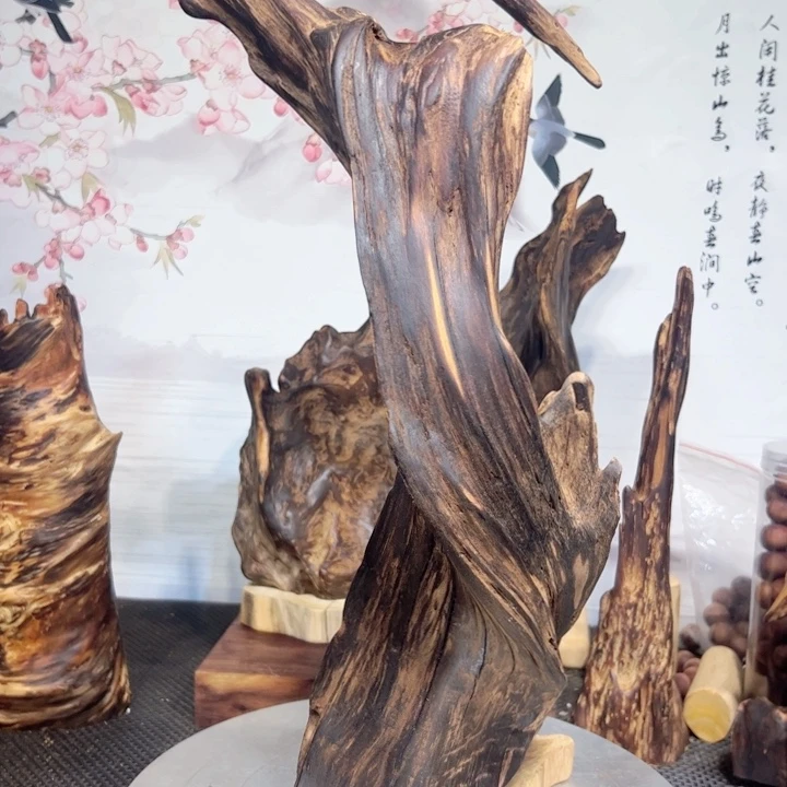 用***3木直播间一物一拍