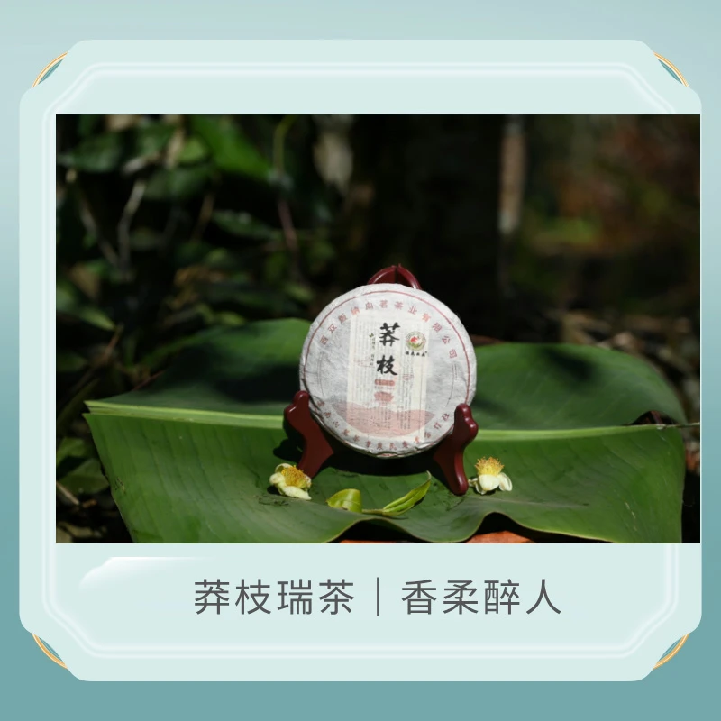 莽枝普洱生茶100g头春香柔醉人