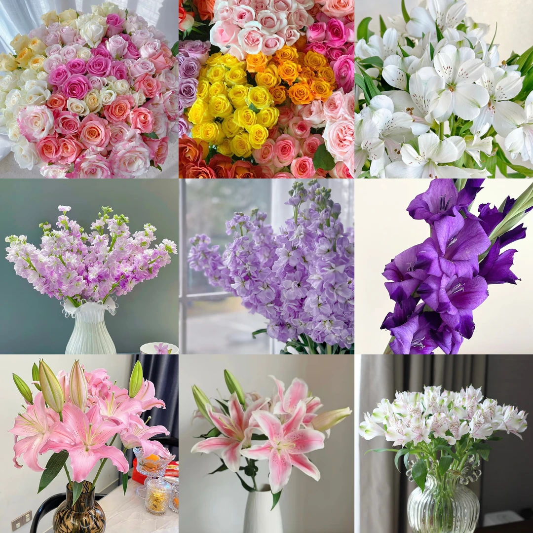【鲜花套餐三】香槟+卡布+多头橙芭比+巧克力+向日葵+尤加利