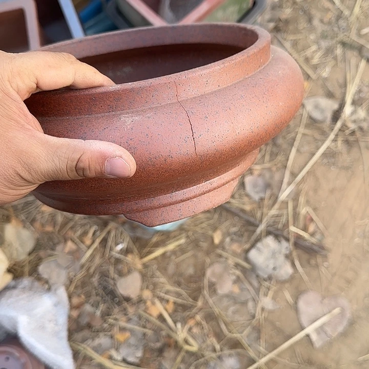 你要吃好了我才走得到车上