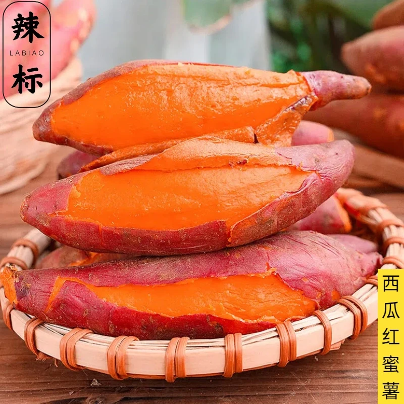 辣标西瓜红蜜薯现挖新鲜红薯正宗软糯香甜沙地番薯地瓜带箱5斤