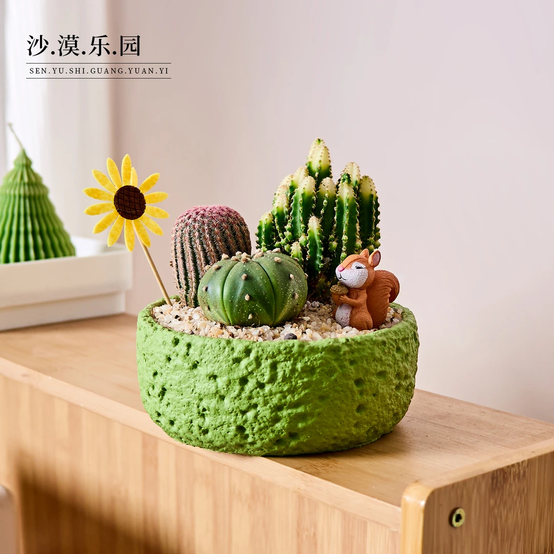 【沙漠乐园】仙人掌盆栽植物室内绿植花卉办公室桌面解压送礼礼物