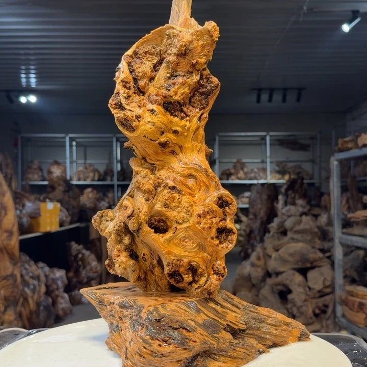 木蔡*王一刀琥珀木72